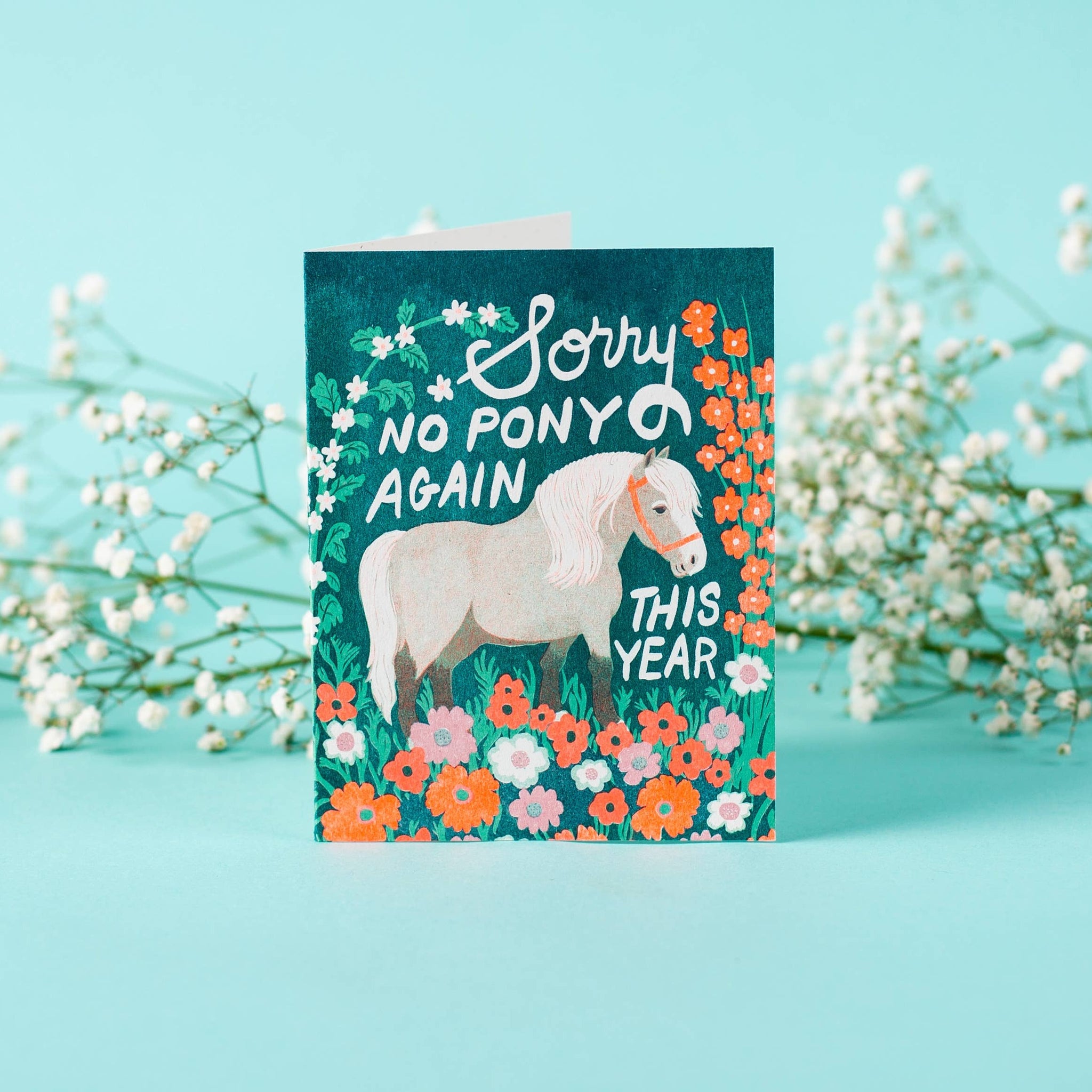 No Pony Birthday Greeting Card