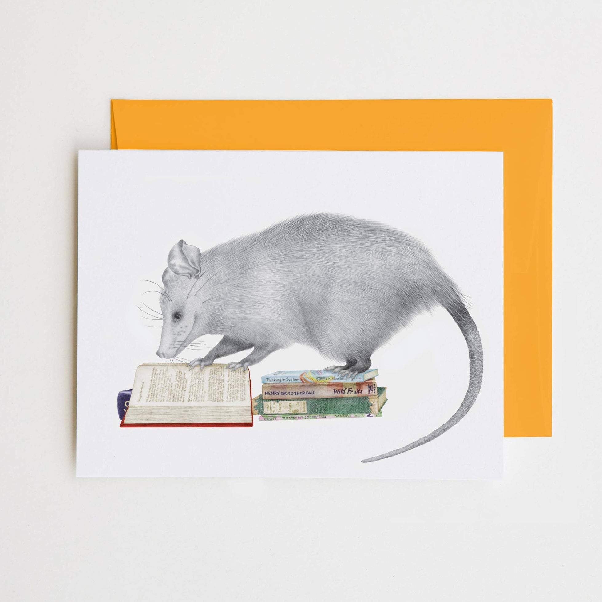 Henry Gossamer Opossum Note Card