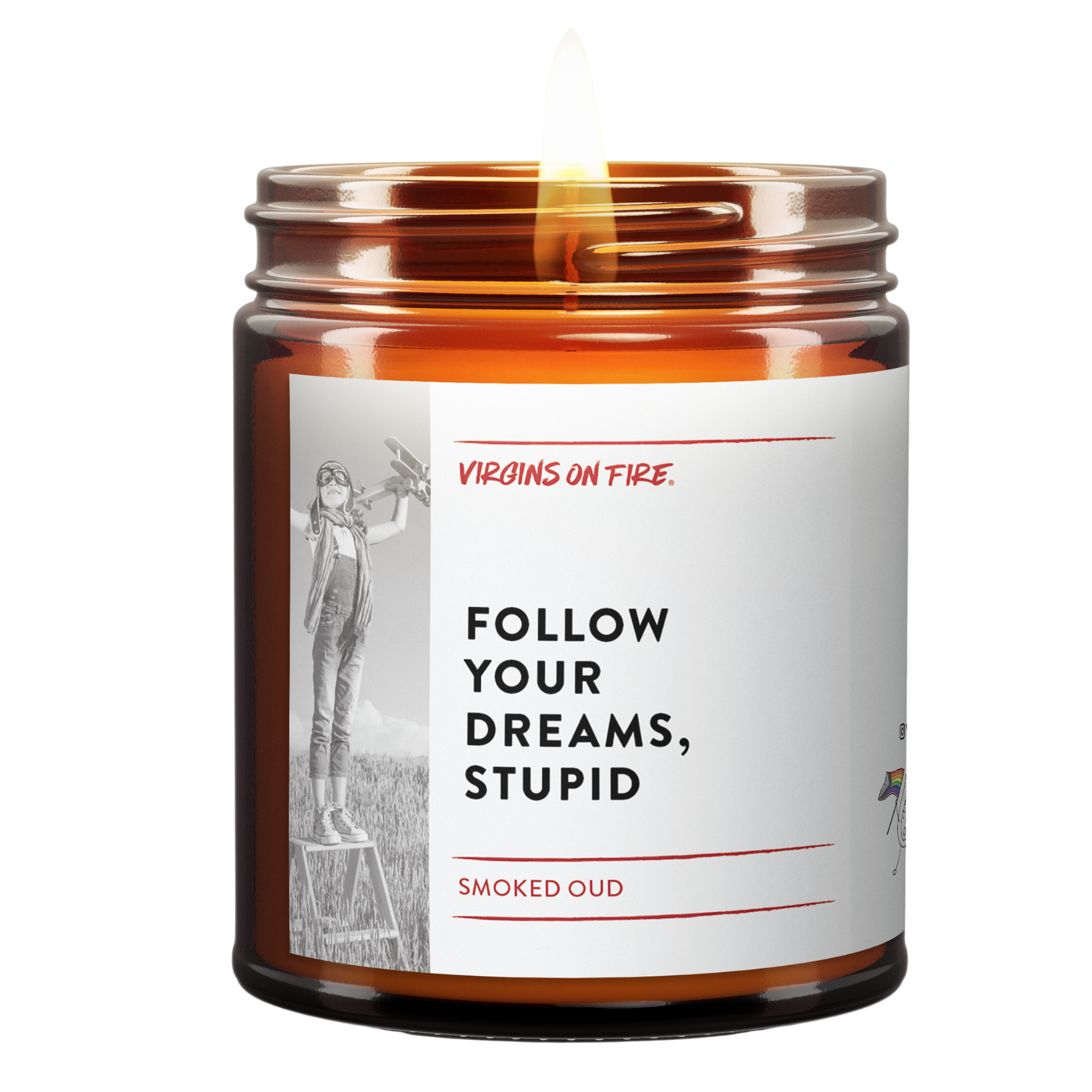 FOLLOW YOUR DREAMS, STUPID Scented Candle